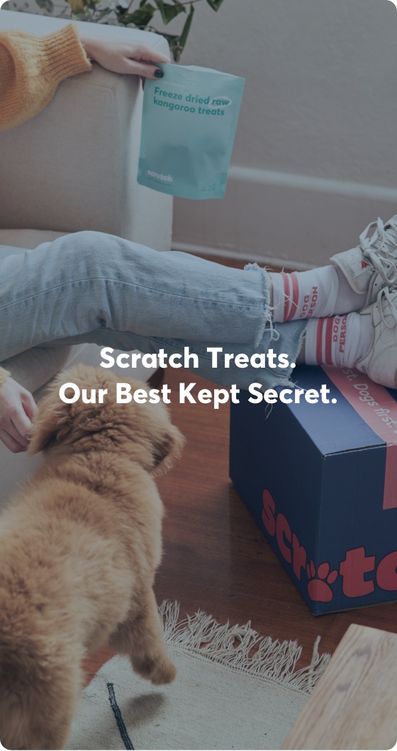 Shop Treats