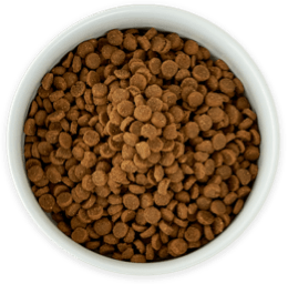 Bowl of kibble