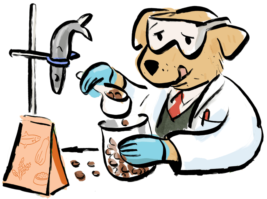 Illustration of dog in labratory