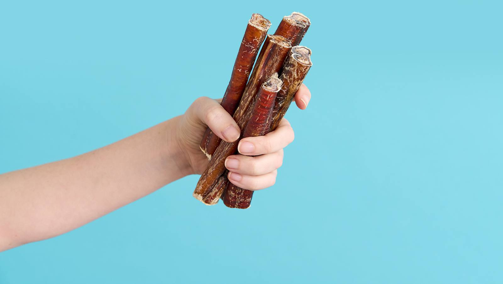 Holding bully stick treats