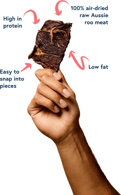Holding dog treat