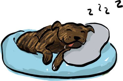 activity-lazy illustration