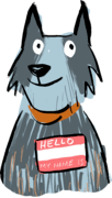 Dog with name tag