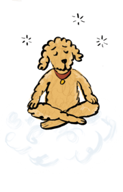 gut-health-calming illustration