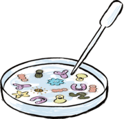 poop-happy illustration