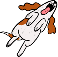 Dog jumping