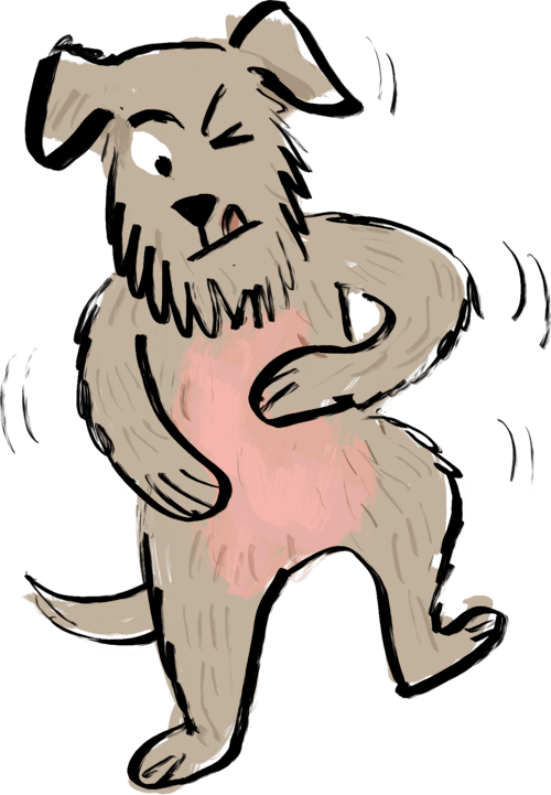 Itchy dog