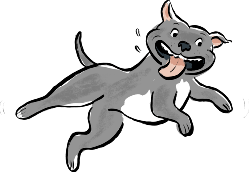 staffy-jumping illustration