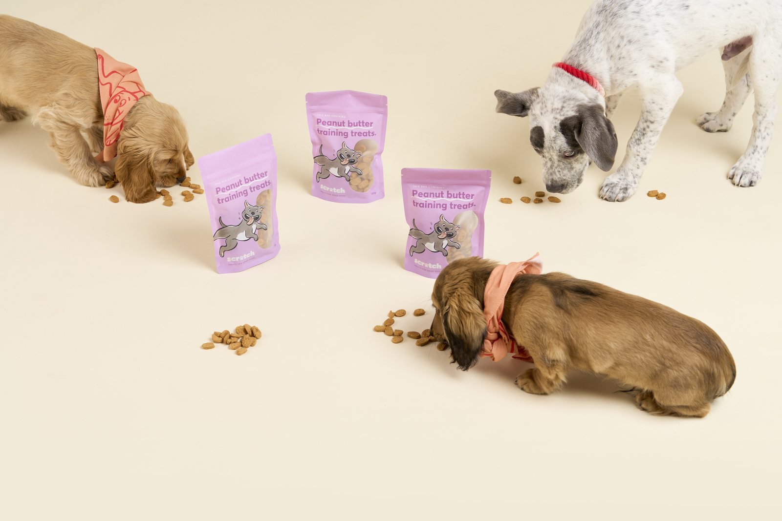 Puppies eating training treats