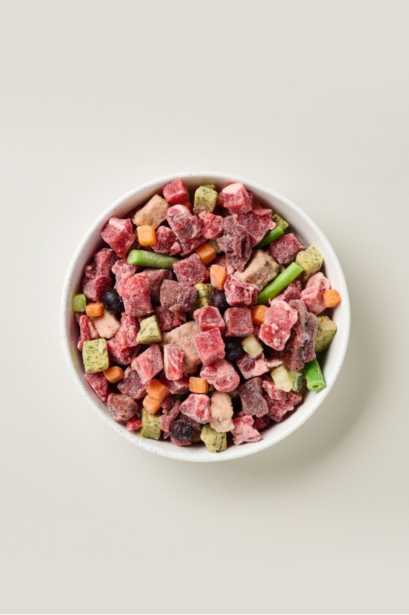 Bowl of Raw dog food