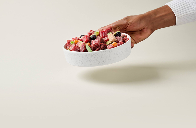 Bowl of raw dog food