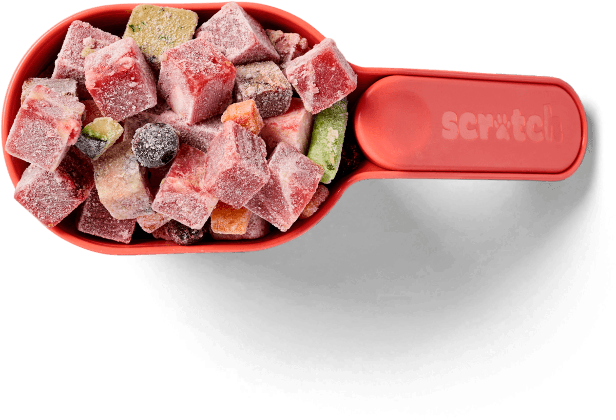 Scoop of raw dog food