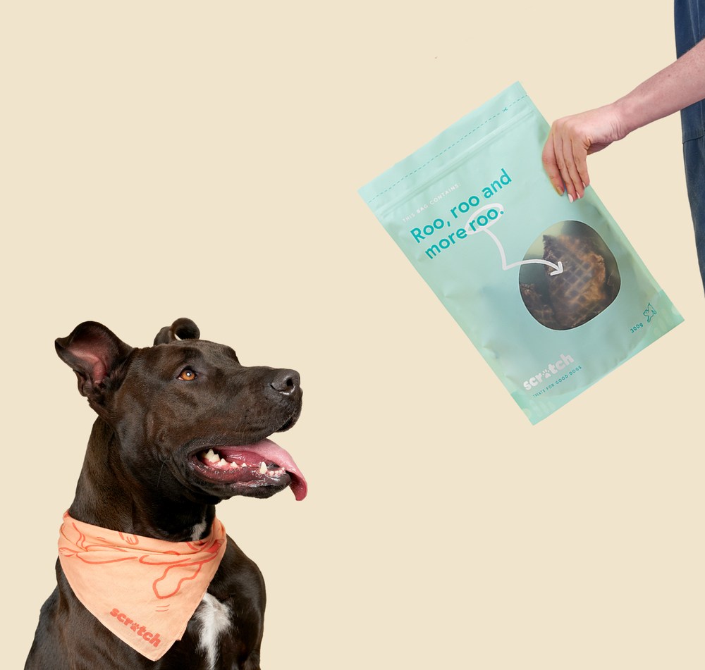 Holding treat bag