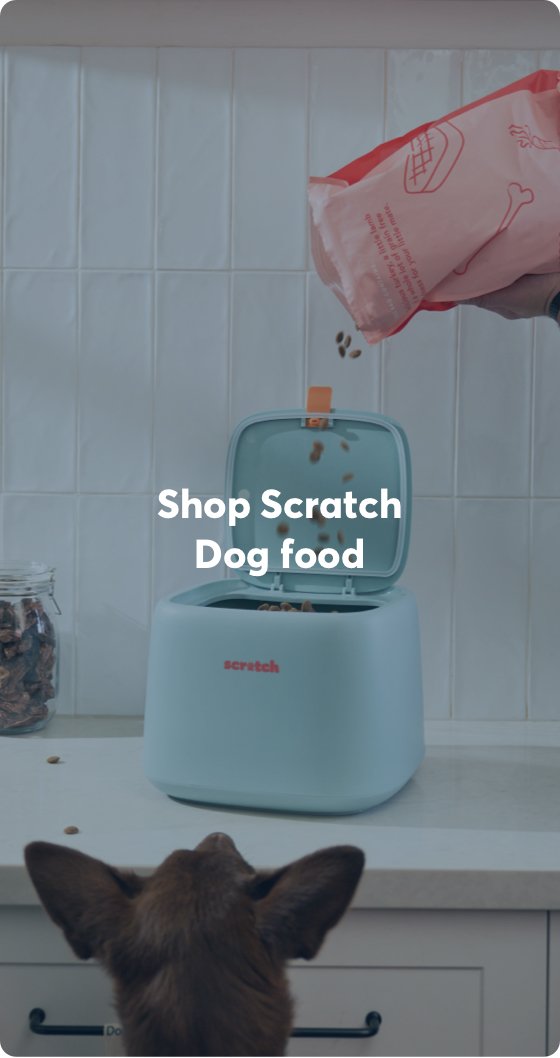 Shop Dog Food