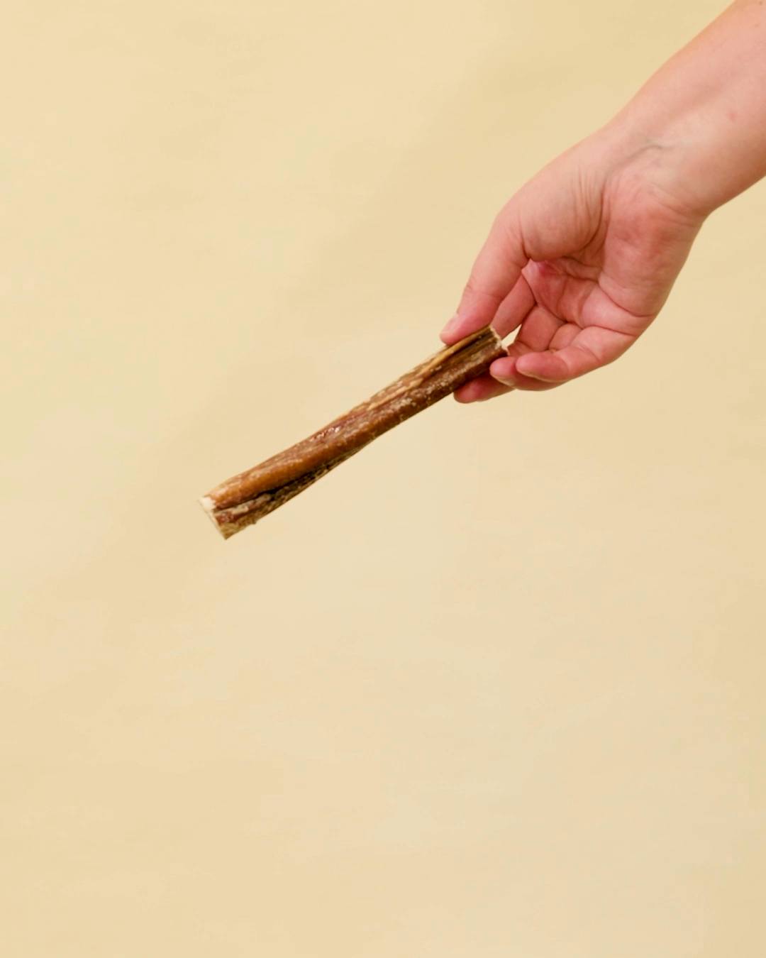 Bully Stick treats