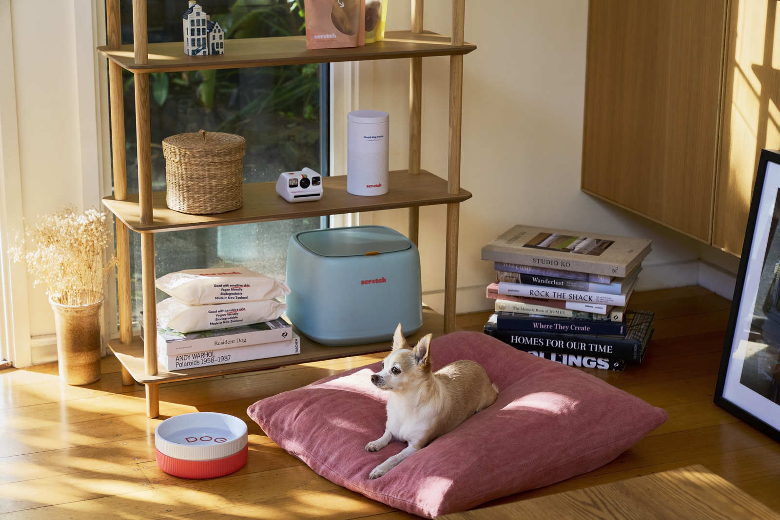 Dog laying near treat container