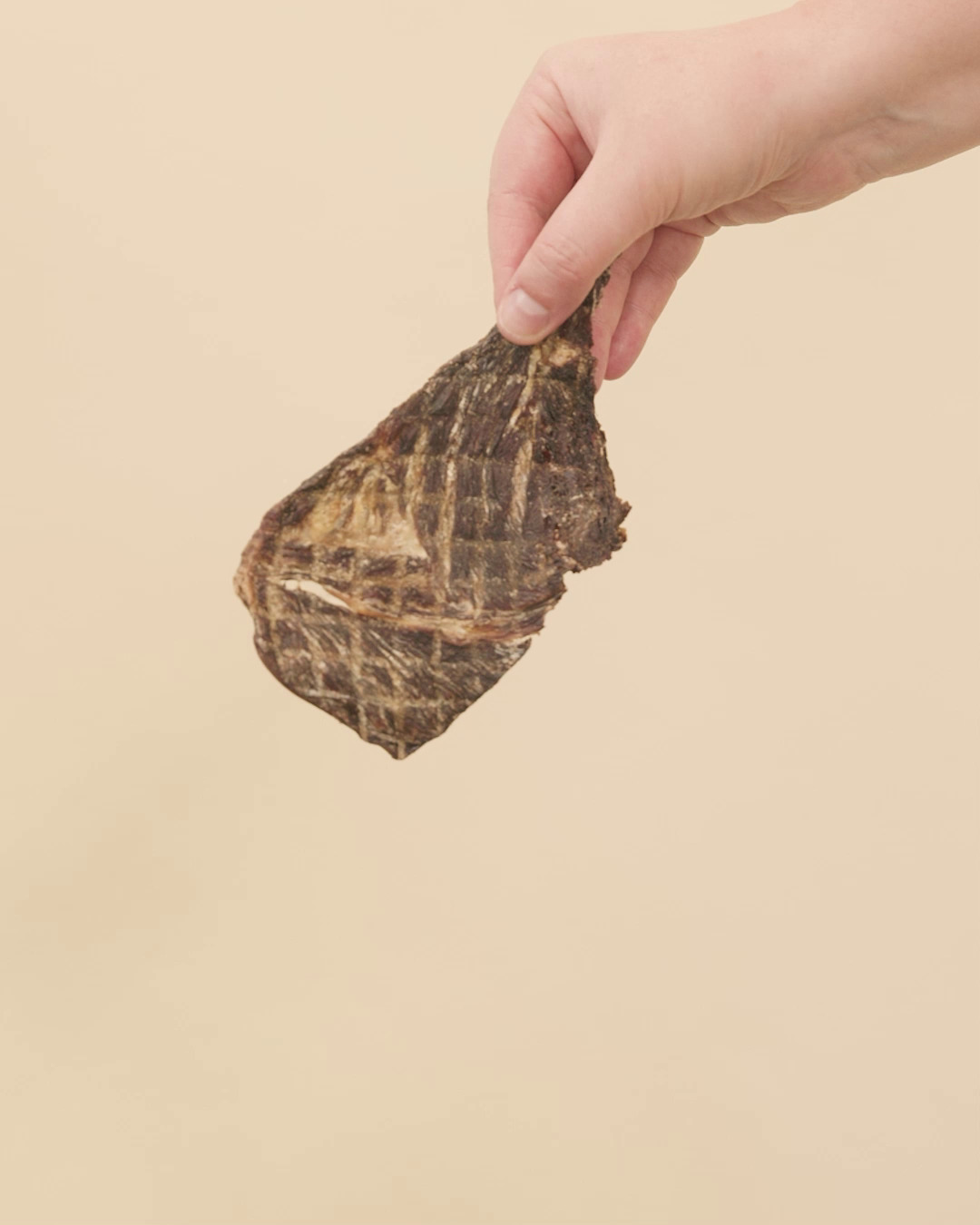 Kangaroo Jerky
