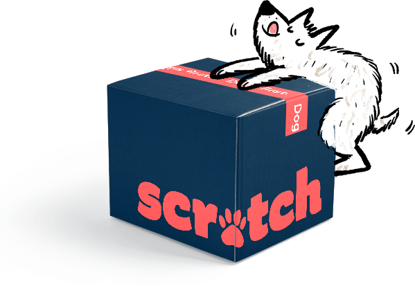 Dogs like Scratch