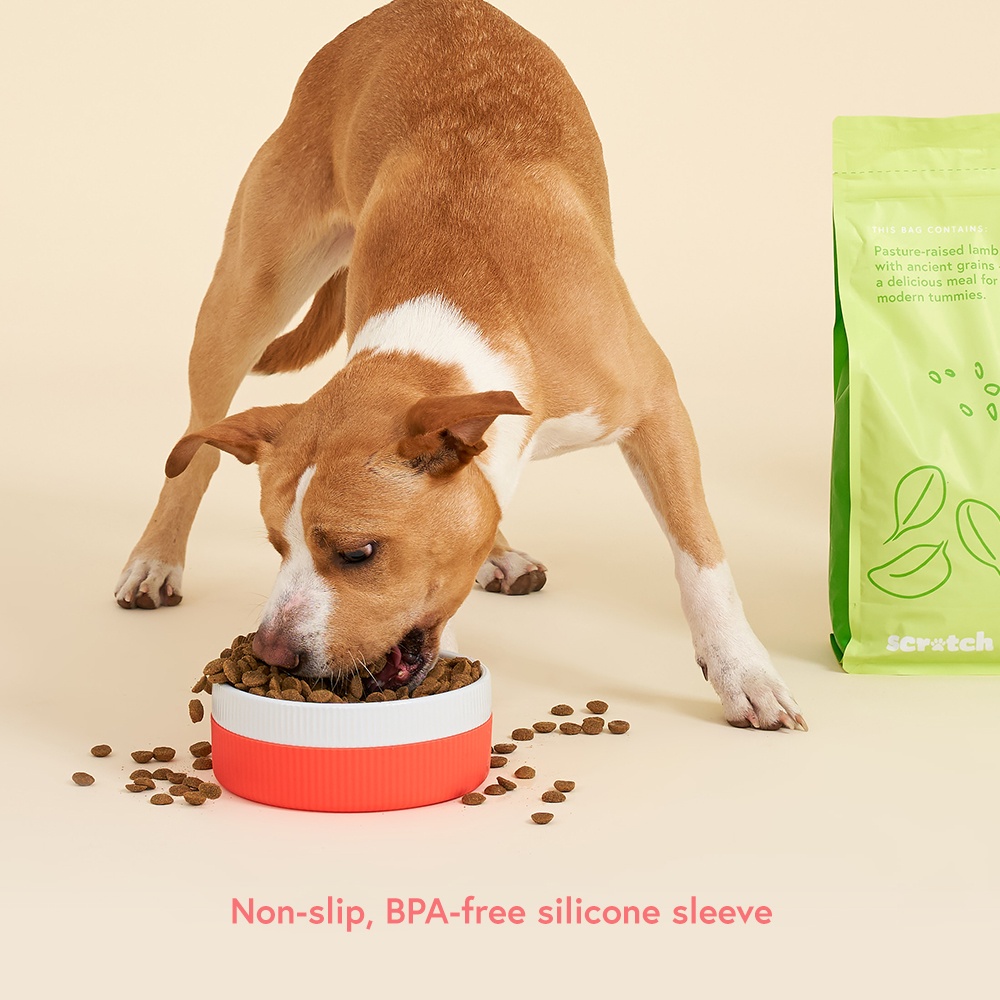 Ceramic Dog Bowl With Dual Function Scratch