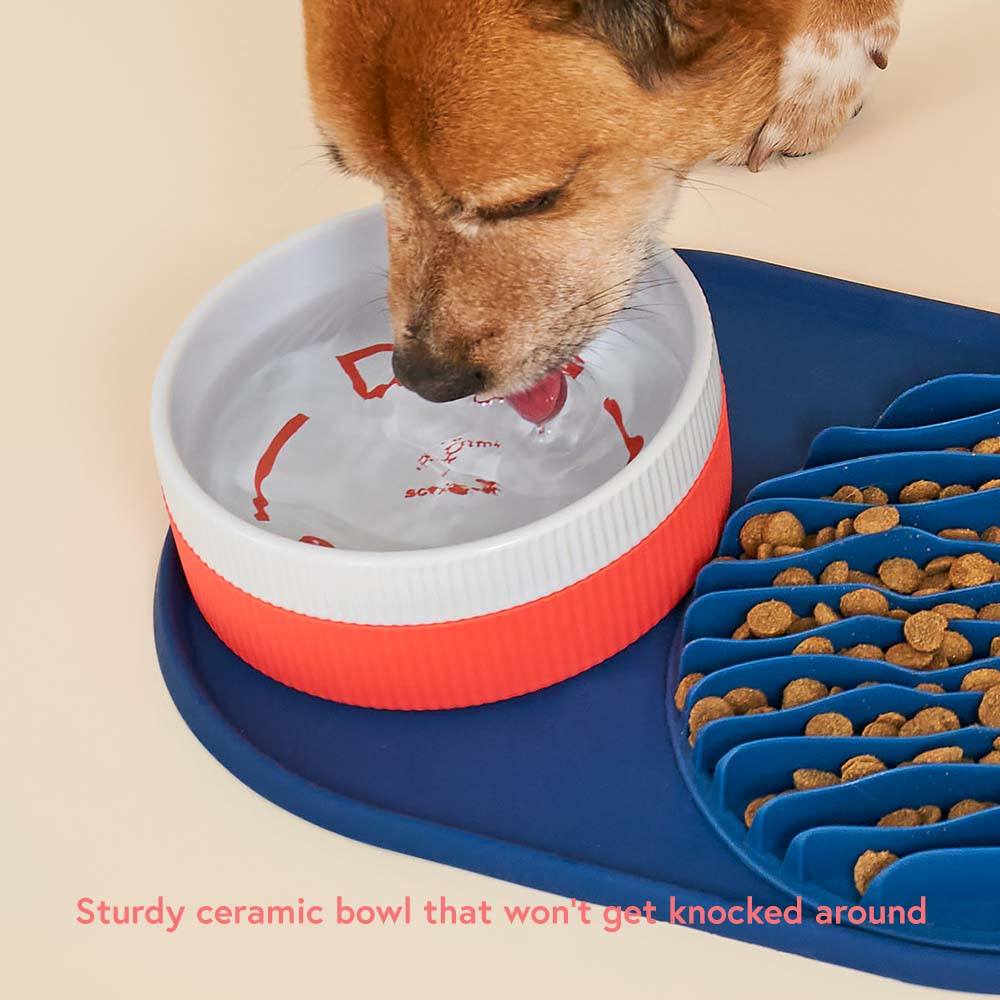 Sturdy dog bowl