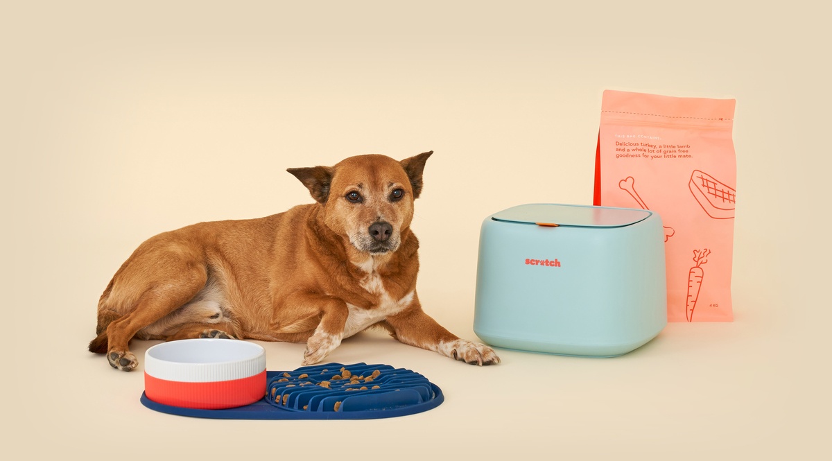 Dog Feeding Accessories Scratch Pet Food