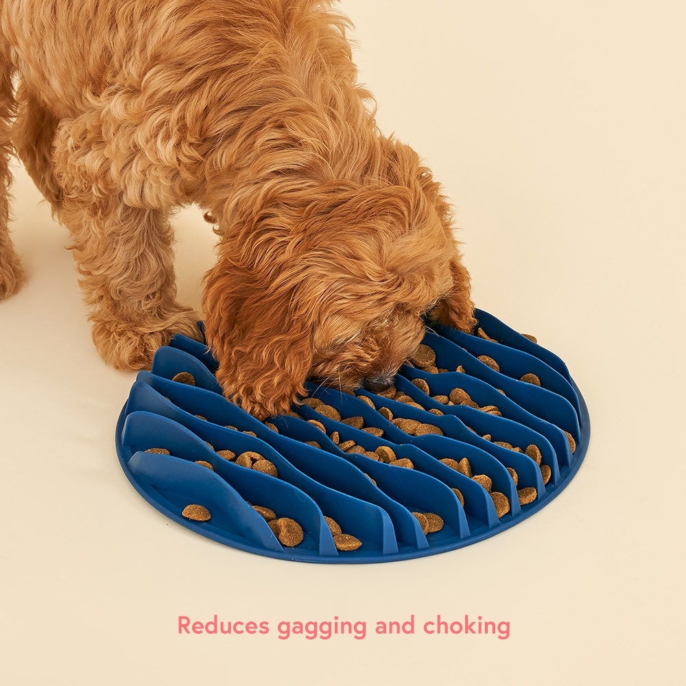 Dog eating slow feeder