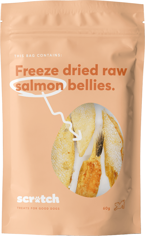 Freeze Dried Salmon Treats