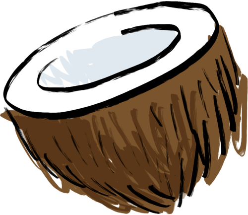 Coconut illustration