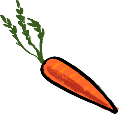 ingredients-carrot illustration