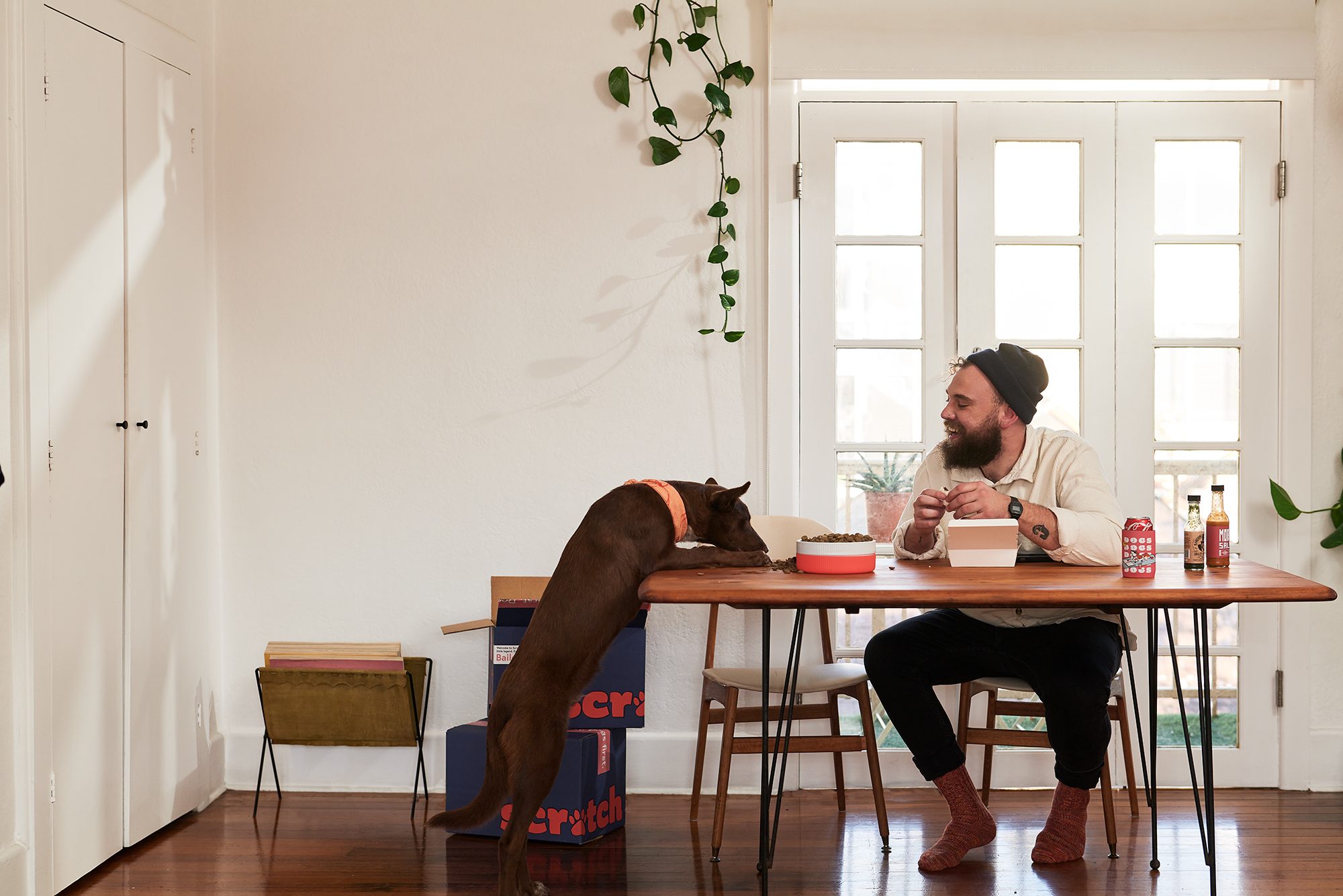 Dog at table