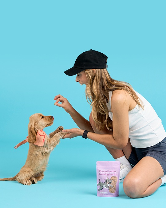 Puppy training treat