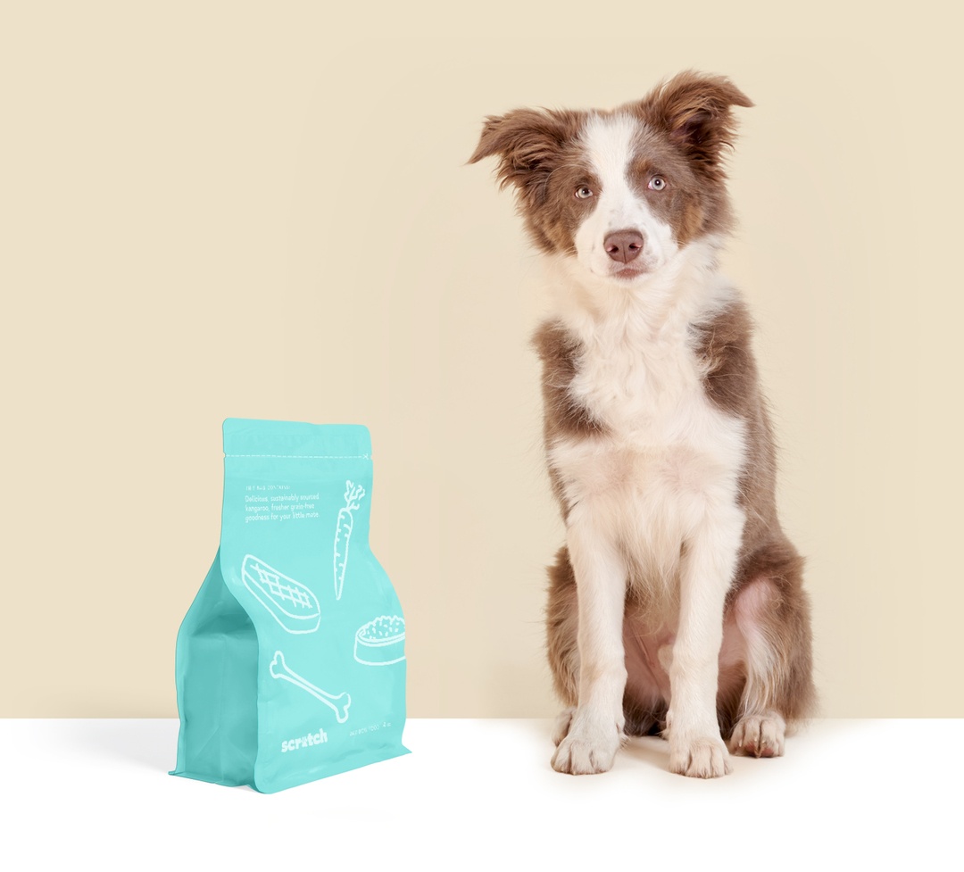 Border collie puppy sitting next to a bag of Kangaroo dog food