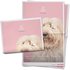 Dog News