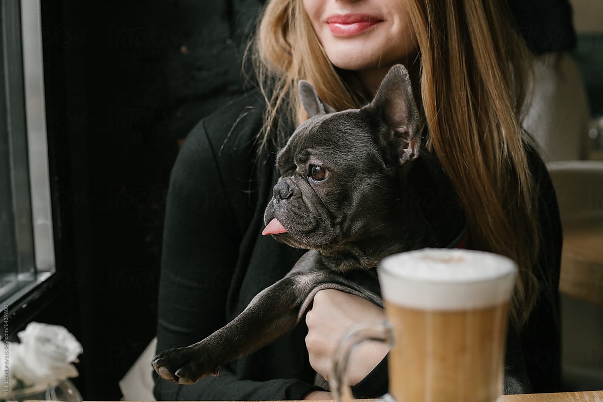 Melbourne’s top dog-friendly cafe’s this summer