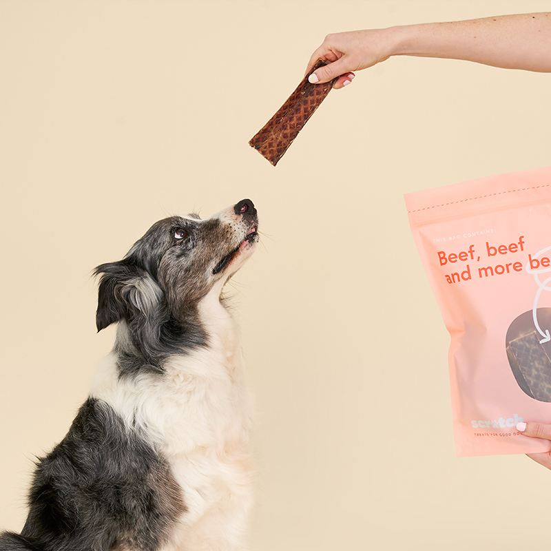 Beef Jerky Treats