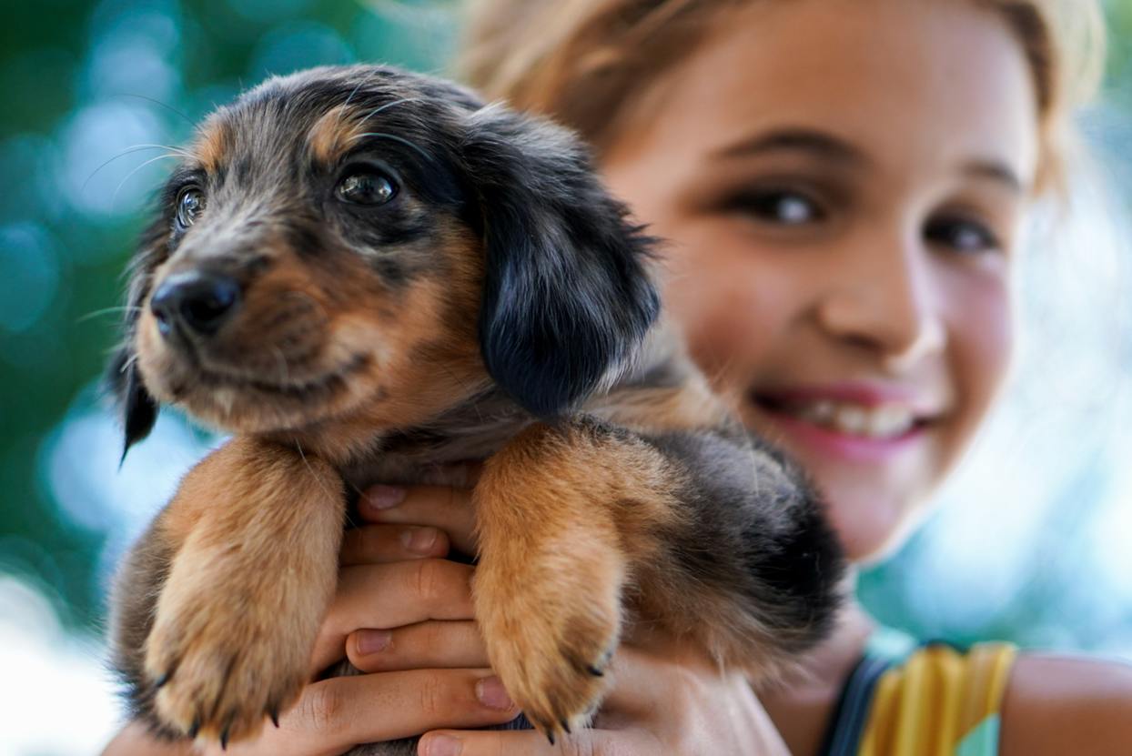 Young girl holding her newly adopted puppy