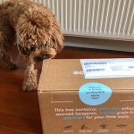 Dog - Alice, Hugo's mum