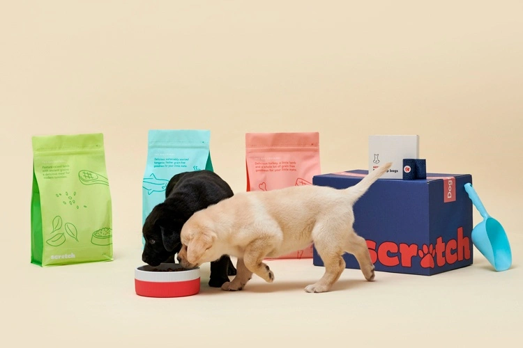 Puppies with dog food box