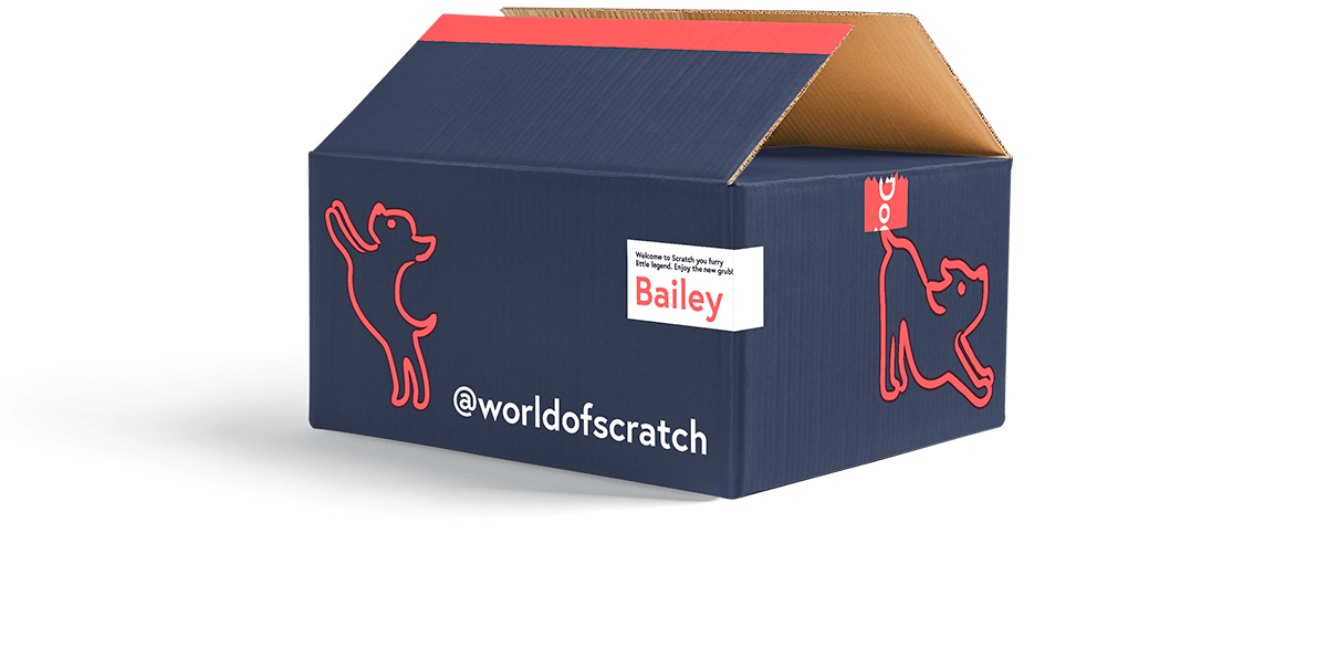 Smaller Scratch Box