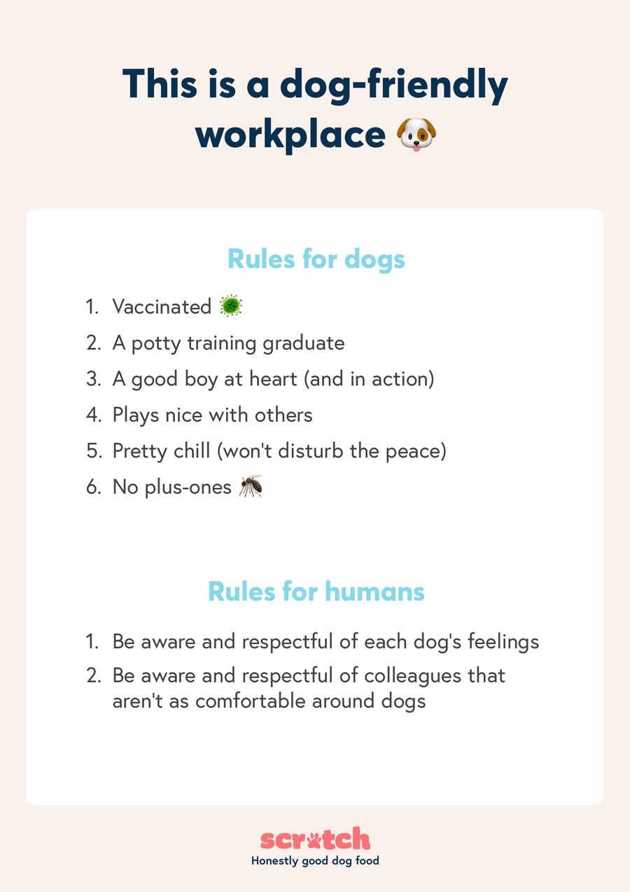 Office Dog Rules