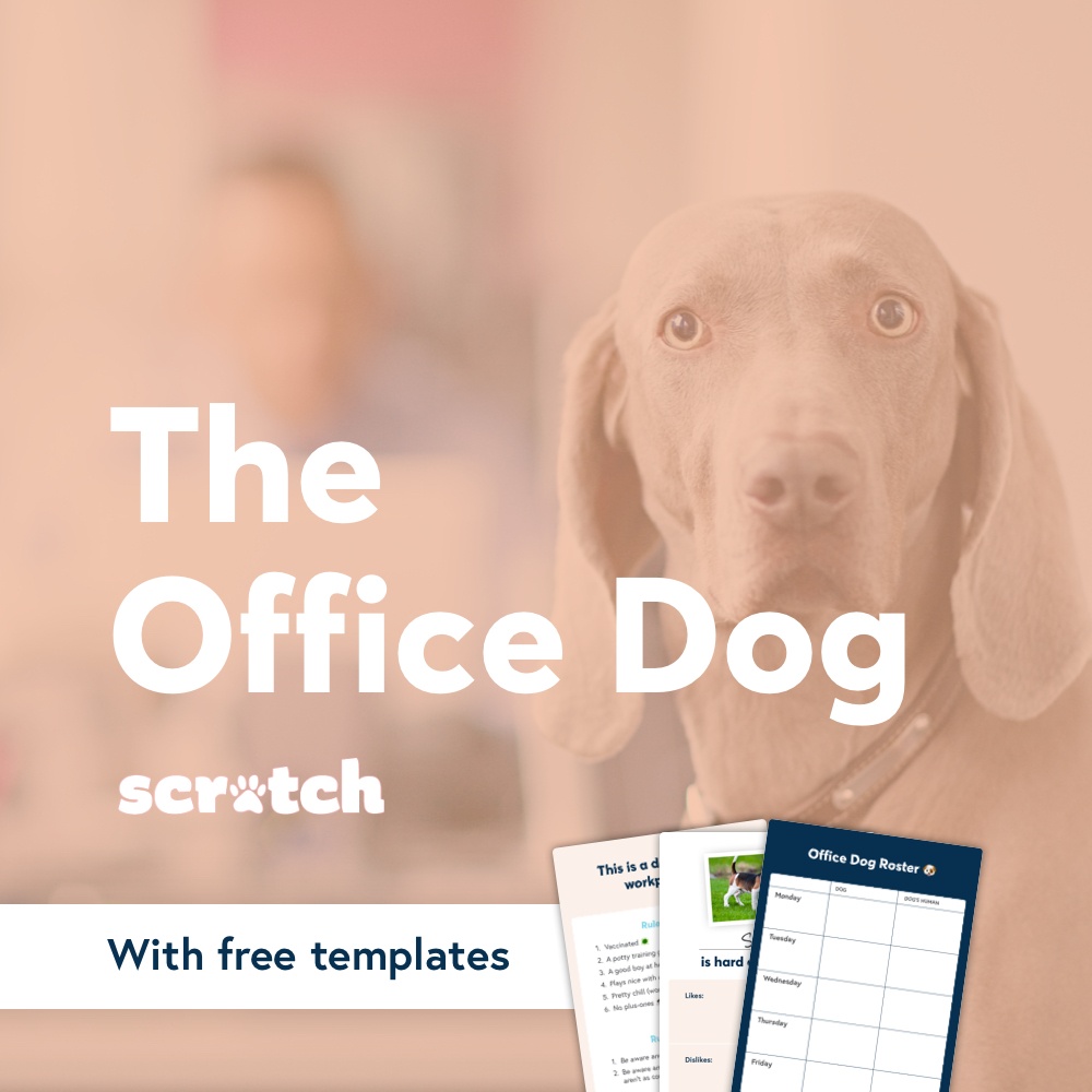 Everything a manager needs to create a dog-friendly (and low stress) workplace.