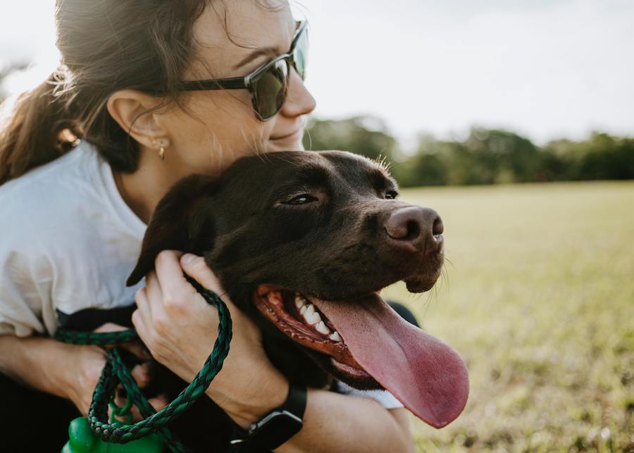 Happy dog with owner