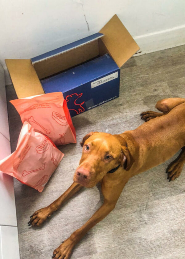 Large Breed Dog Food Scratch Pet Food