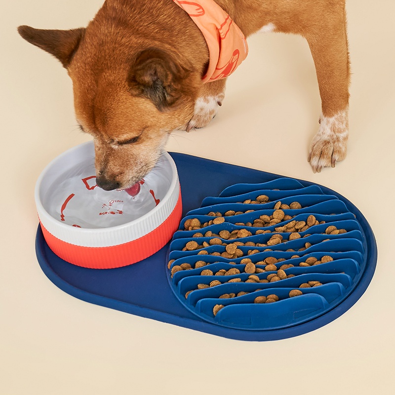 Slow Feeding Bowl