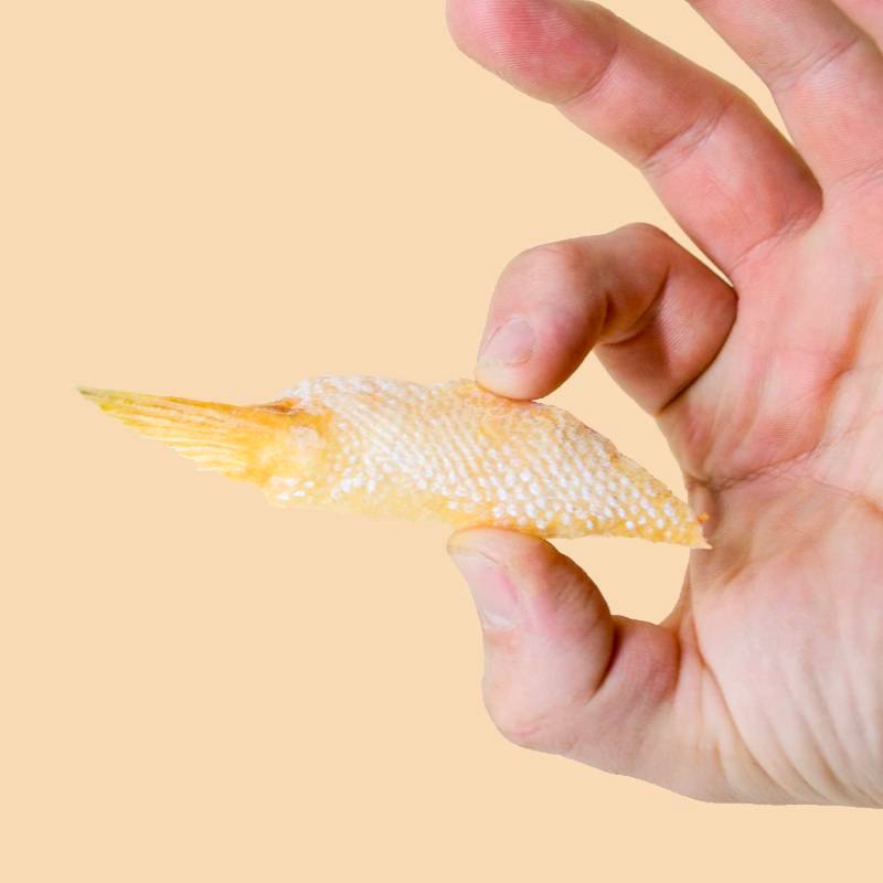 Freeze-dried salmon treats