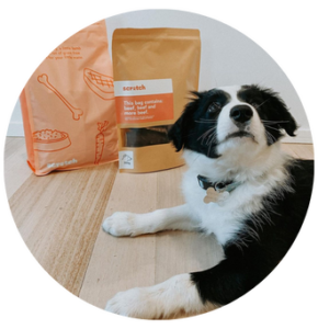 The best dog food for Border Collies Scratch Dog Food