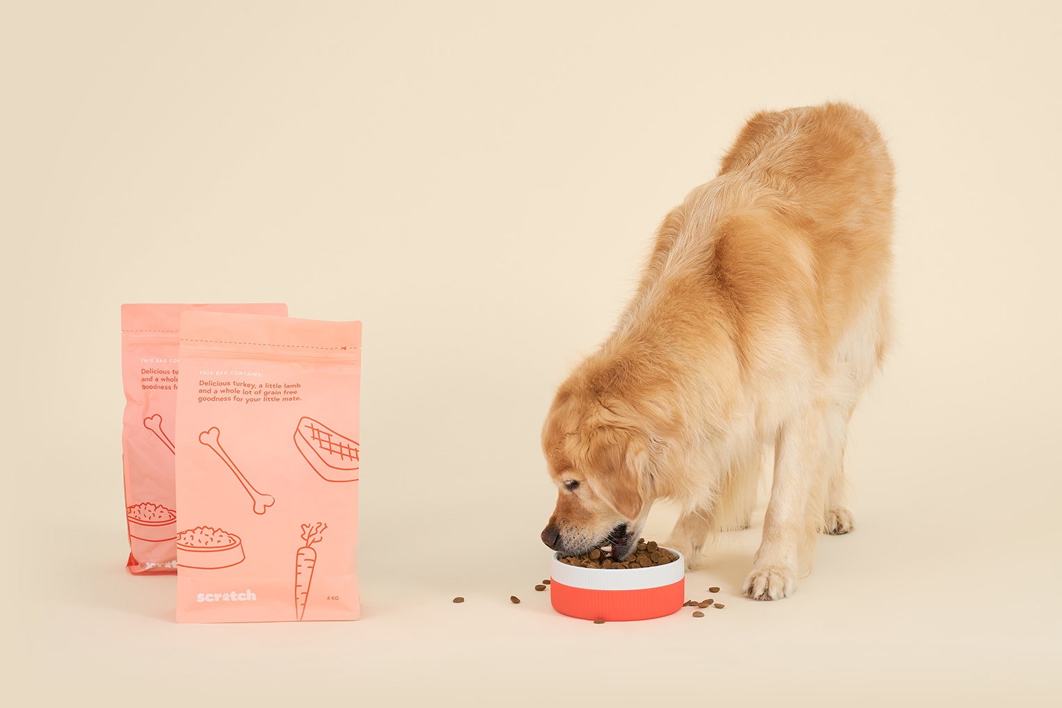 Golden Retriever Eating