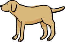 dog illustration