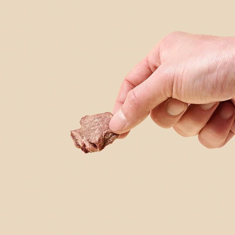 Freeze-dried Turkey Bites