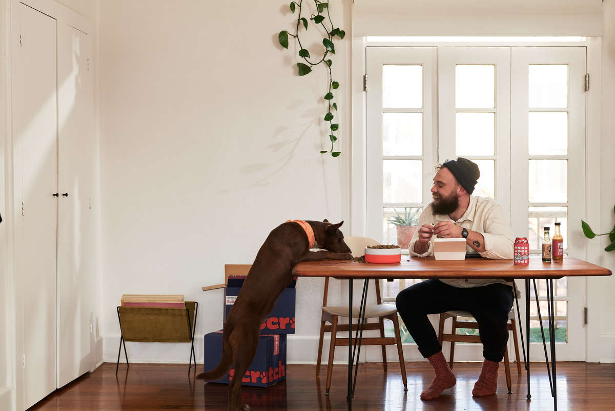 Dog eating at table